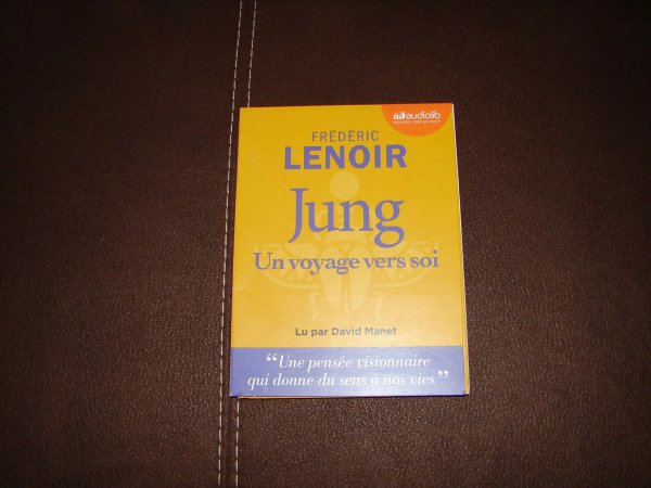 Jung, Un Voyage Vers Soi - Livre Audio 1 Cd Mp3