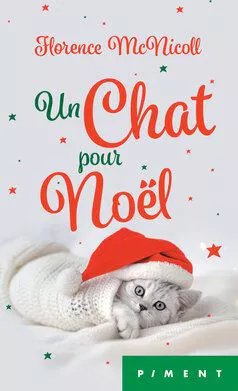 Un Chat Pour Noel