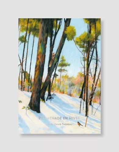 Promenade En Hiver
