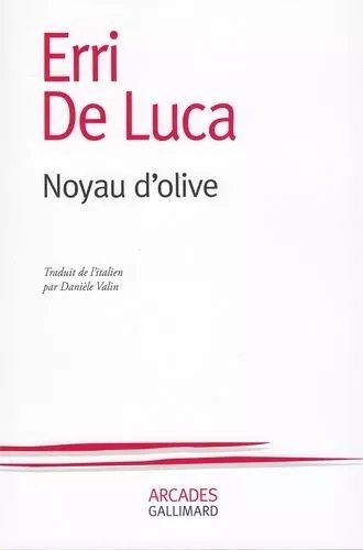 Noyau D'olive